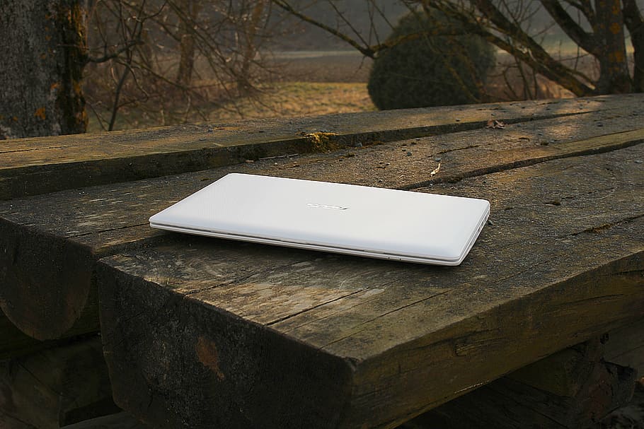 laptop, notebook, work, independent, technology, computer, tree HD wallpaper