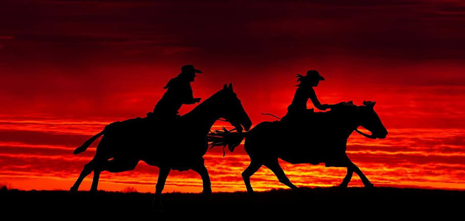 cavalry, sunset, cut, mammal, evening, twilight, backlit, two HD wallpaper