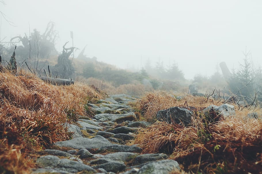 grey rocks covered with brown grass, landscape, path, way, hiking HD wallpaper
