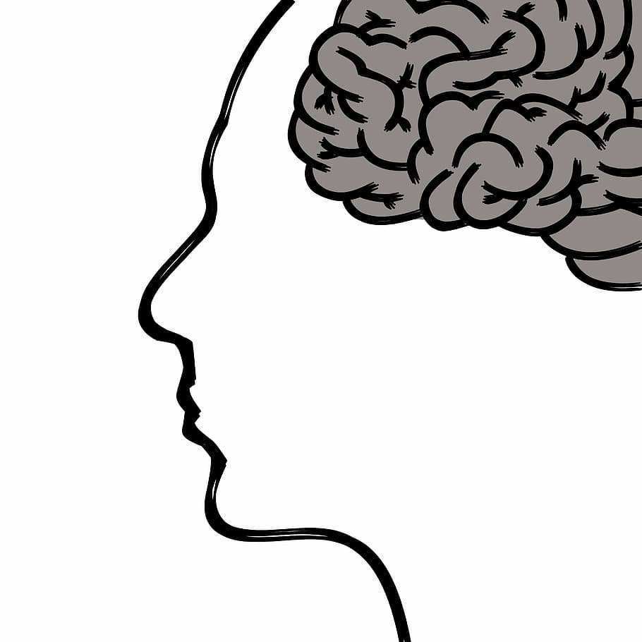 brain illustration, head, thoughts, human body, face, psychology, HD wallpaper