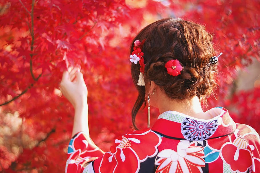 woman in red and white floral yukata touching red leaf during daytime HD wallpaper