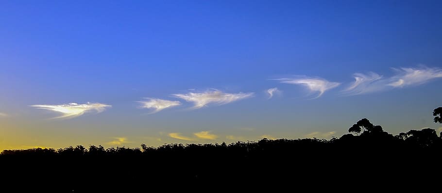 clouds, white, blue, orange, pattern, linear, streaks, sunset HD wallpaper