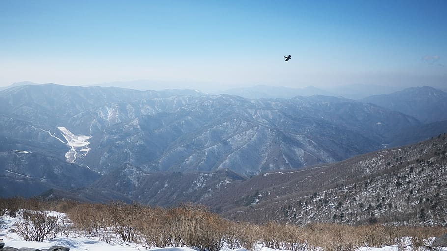 taebaek, top, mountain, snow, landscape, winter mountain, republic of korea HD wallpaper
