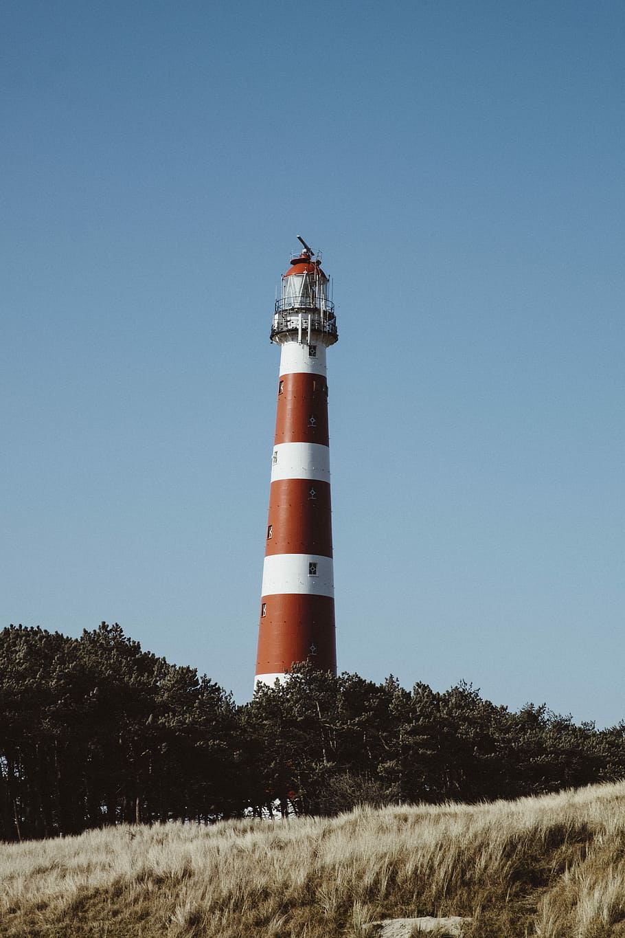 low-angle view of lighthouse, red and white lighthouse near trees at daytime HD wallpaper