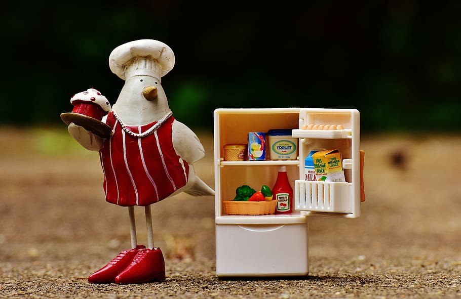 mini bottom-mount refrigerator toy, bird, bake, cook, figure HD wallpaper