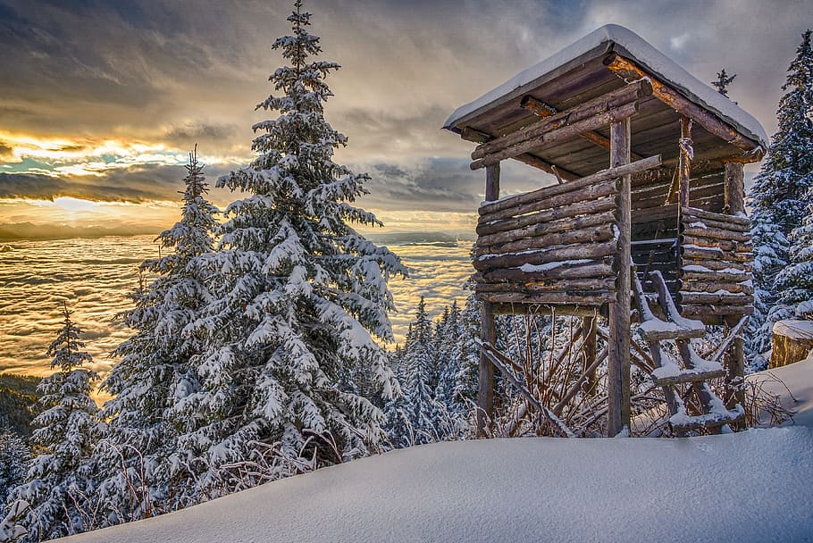 brown wooden house on white snow surface, wintry, winter, cold HD wallpaper