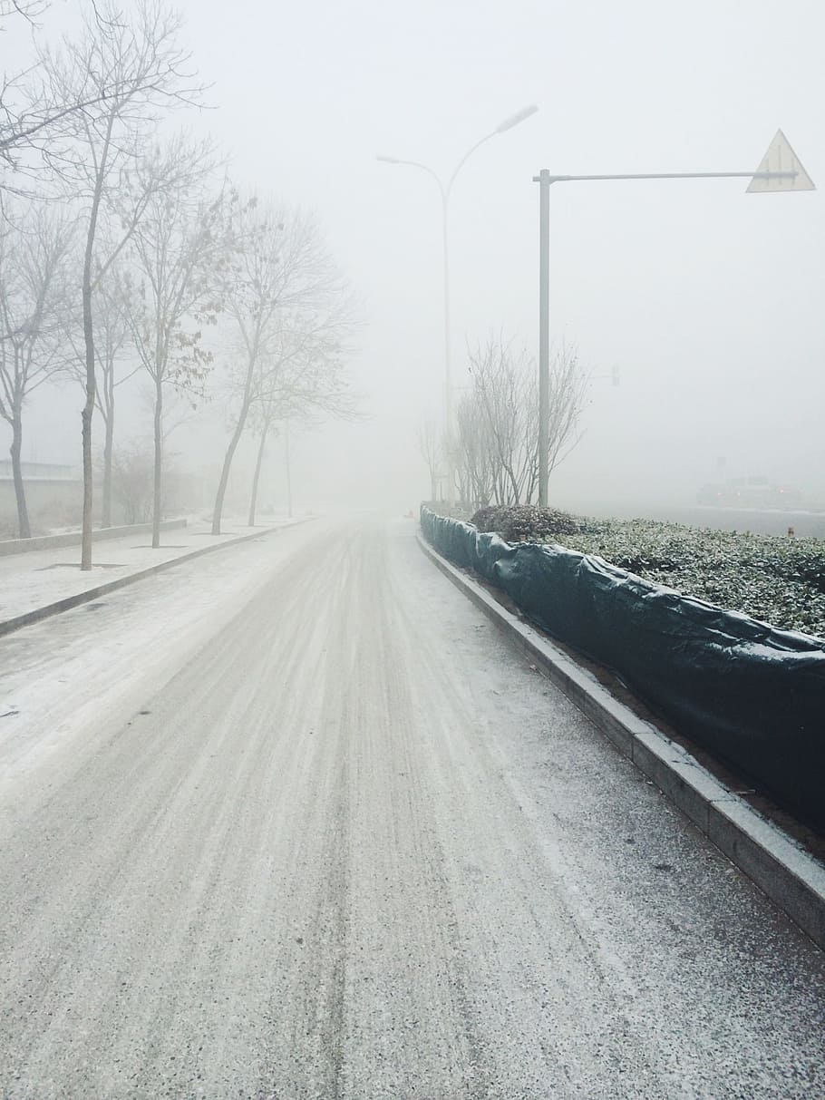 snow, road, winter, transportation, tree, fog, nature, plant HD wallpaper