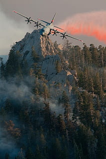 aircraft, fire, retardant, drop, forest, transport, airplane HD wallpaper