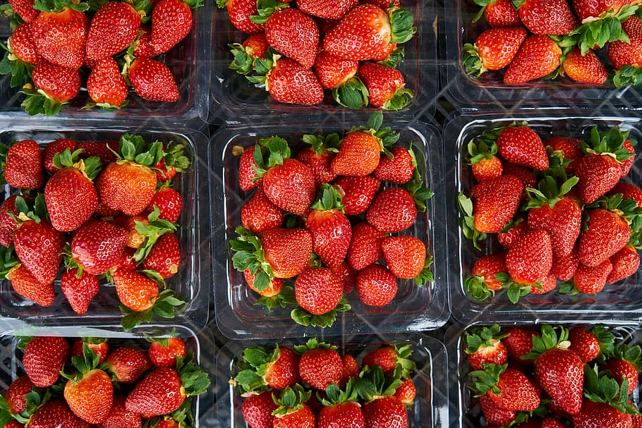 Strawberry, Red, Fruit, Beautiful, nature, healthy, fresh, garden HD wallpaper