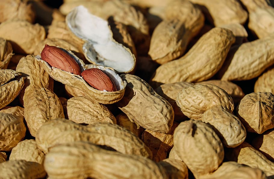 brown peanuts, roasted, cores, snack, healthy, delicious, calories HD wallpaper