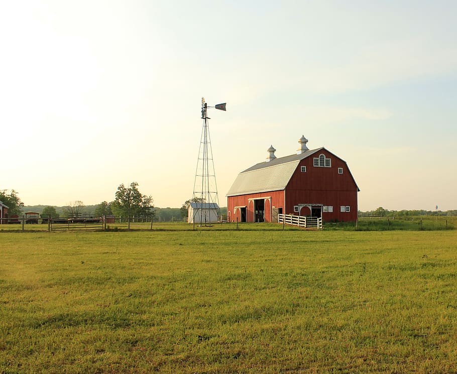 red barn in midst of green field, usa, indiana, prophetstown state park