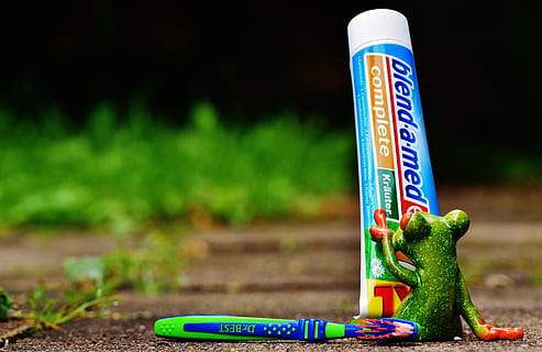 toothpaste, frog, toothbrush, brushing teeth, hygiene, clean HD wallpaper
