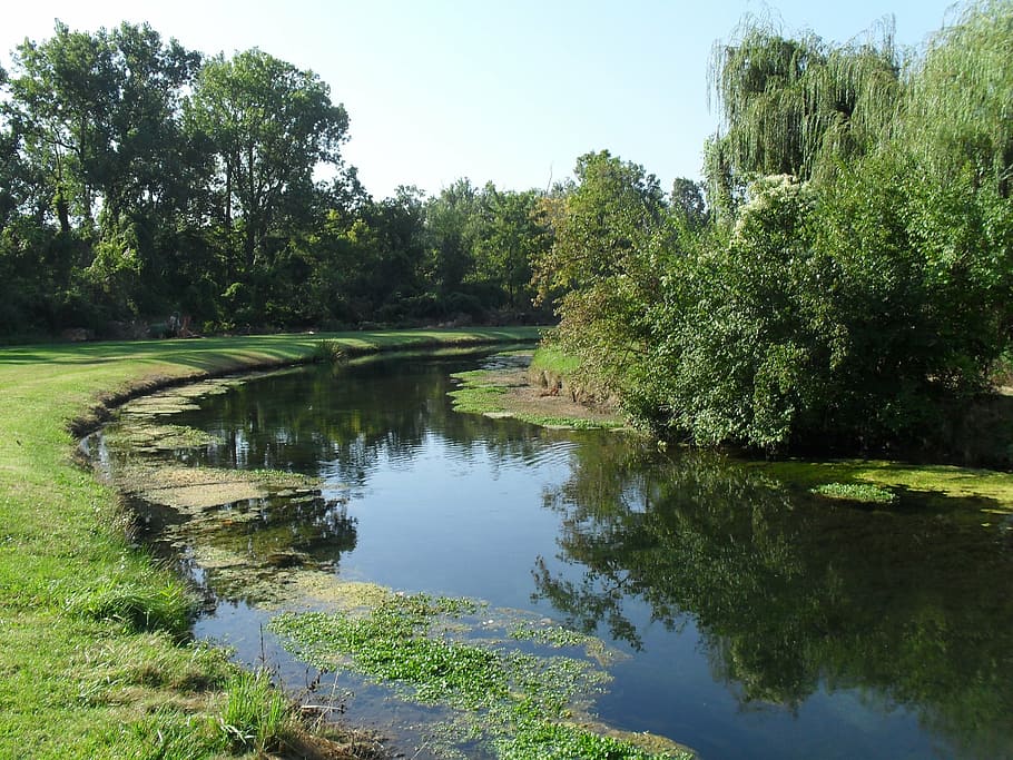water, stream, summer, tranquil, landscape, scenic, tree, plant HD wallpaper
