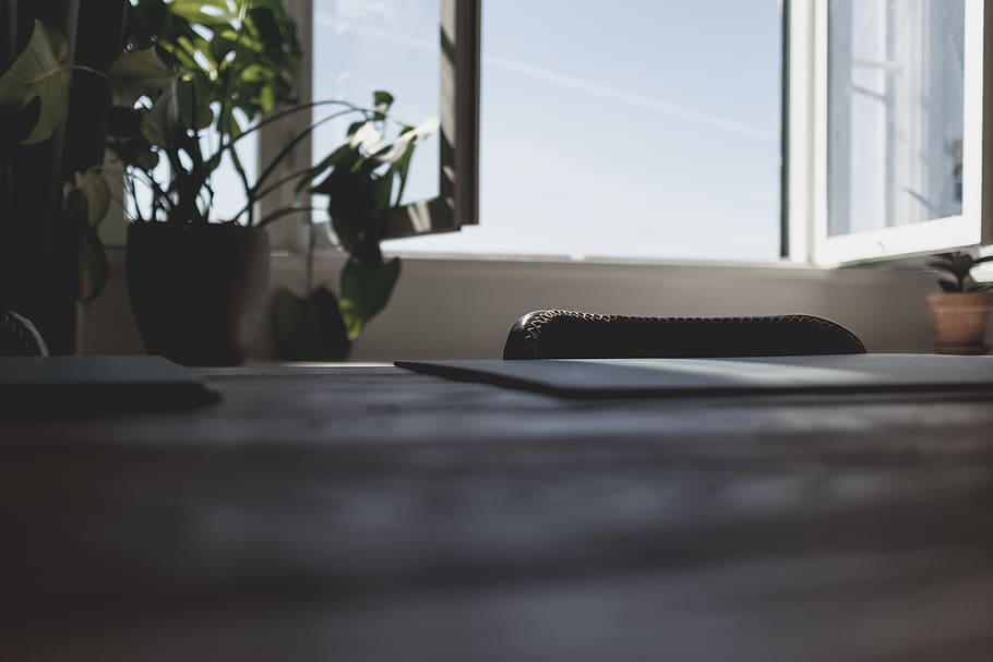 brown wooden table top, green leaf, plants, window, desk, light HD wallpaper