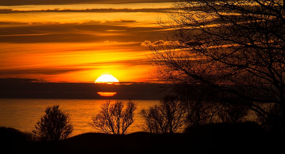 silhouette of trees near body of water during sunset, sol, clouds HD wallpaper