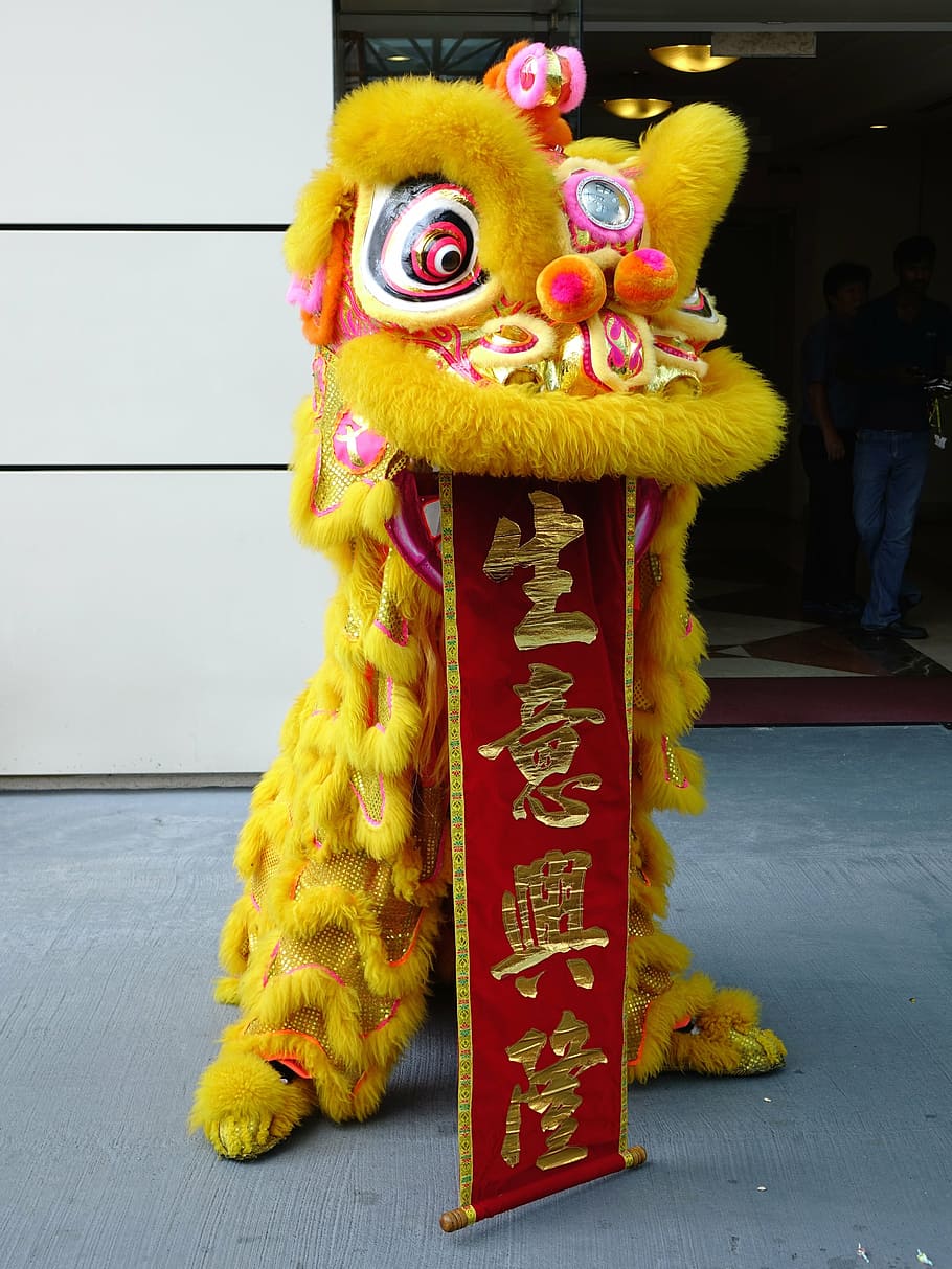 Chinese dragon on ground, lion dance, tradition, new year, luck