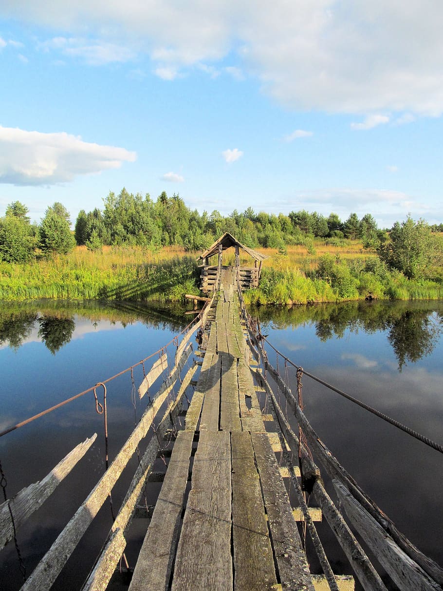 nature, bridge, forest, mood, water, sky, plant, tree, cloud - sky HD wallpaper