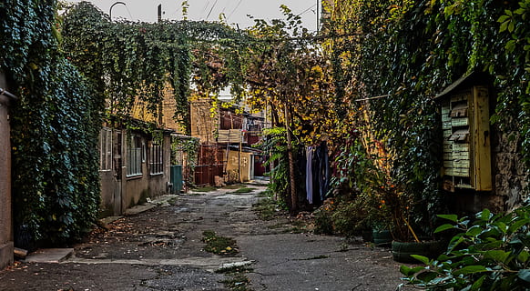 odessa, yard, grapes, mailbox, building exterior, architecture HD wallpaper