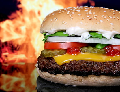 cheese burger with onion and tomato, abstract, barbecue, barbeque HD wallpaper