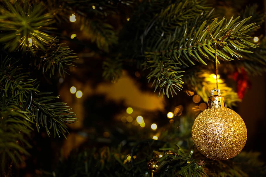 Golden Tree Christmas Ornament, photos, holidays, public domain, HD wallpaper