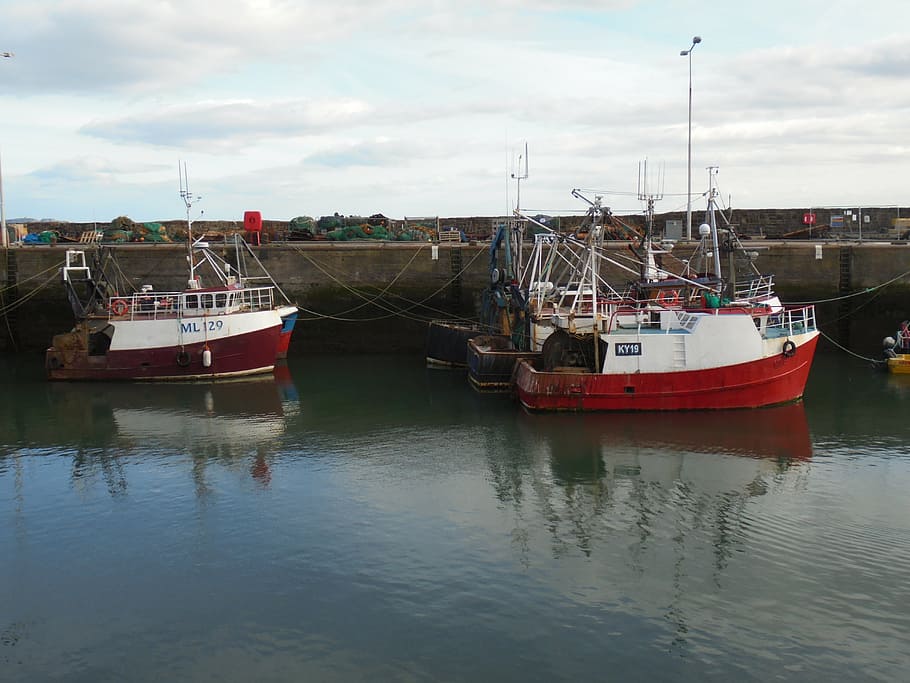 boat, harbour, water, harbor, ship, port, bay, fishing, vessel HD wallpaper