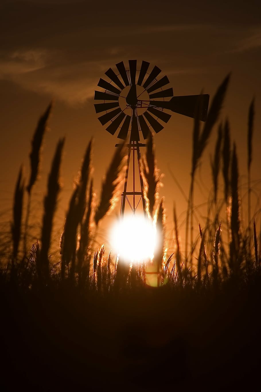 mill, backlight, sunset, field, water mill, twilight, nature HD wallpaper