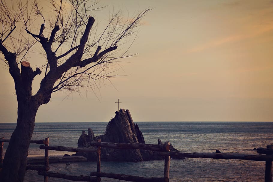 sea, sunset, tree, water, sky, scenics - nature, beauty in nature HD wallpaper