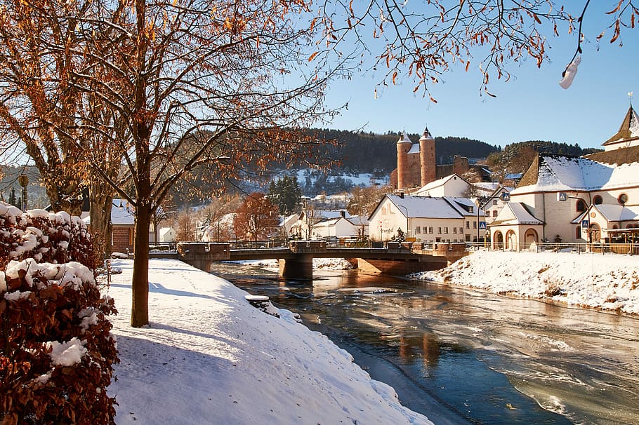 snow covered houses near river, winter, tree, nature, season HD wallpaper