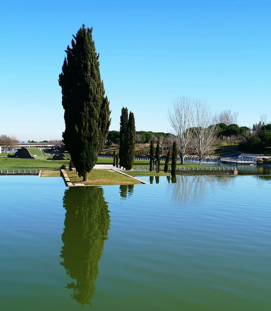 madrid, spain, park, lake, cypress, reflection, water, tree, HD wallpaper