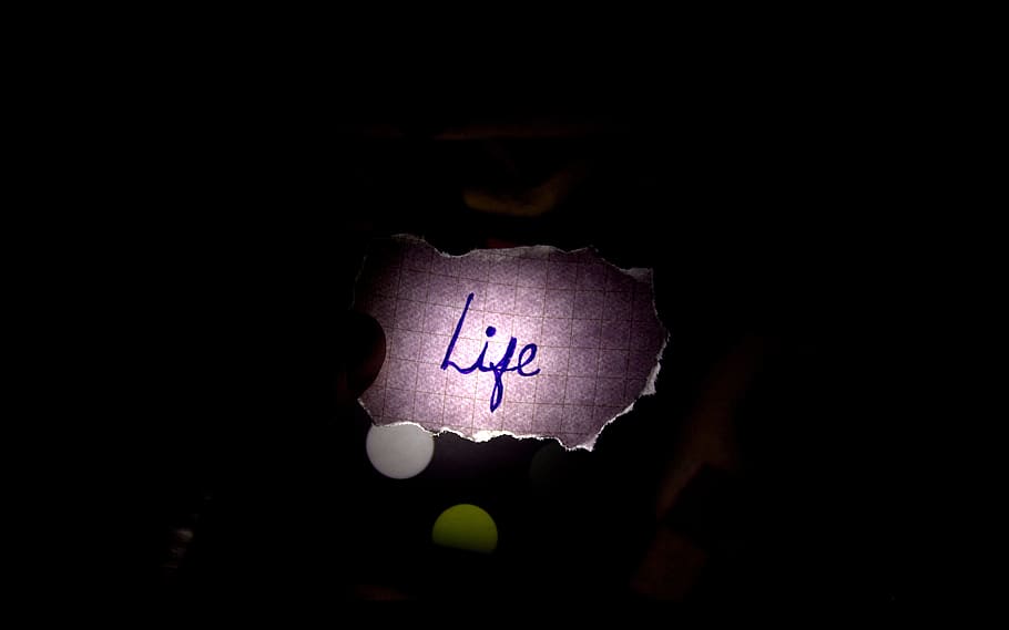 dark, light, life, illuminated, white, black, bright, darkness HD wallpaper
