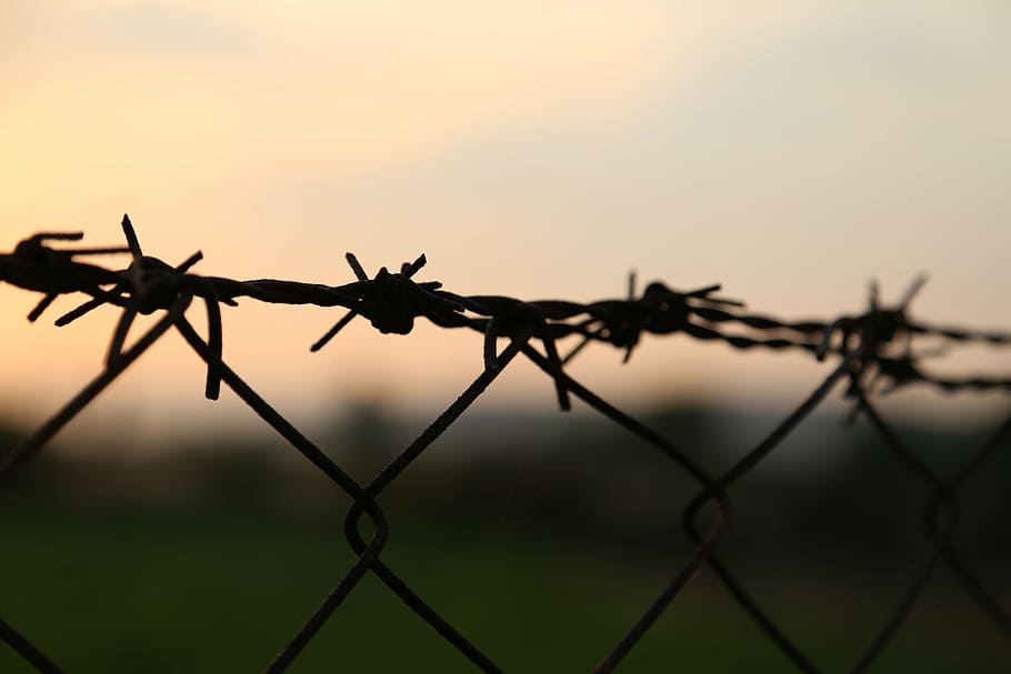 barbed wires, sunset, protection, security, nature, old, metal HD wallpaper