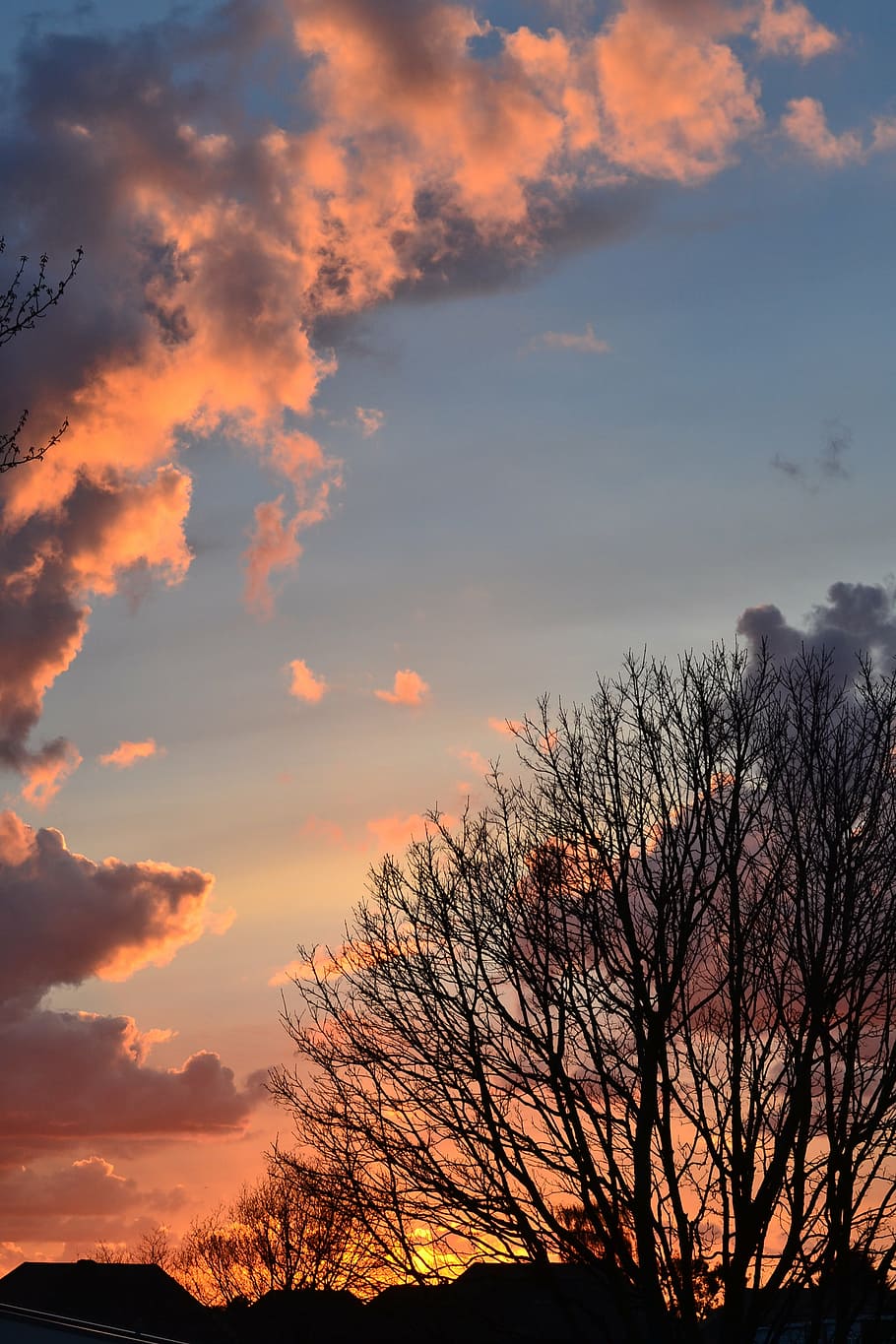sunset, red, blue, white, tree, shadow, evening, orange, abendstimmung HD wallpaper