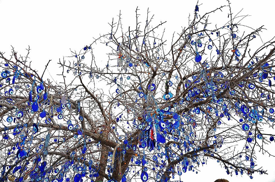tree, winter, sky, macro, blue stone, wishes, hope, hopes, low angle view HD wallpaper