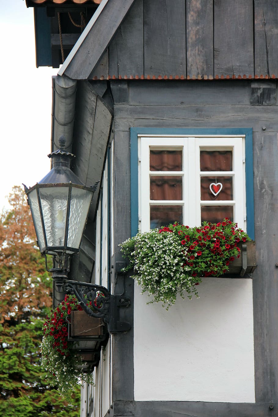 lantern, building, truss, window, lemgo, plant, architecture HD wallpaper