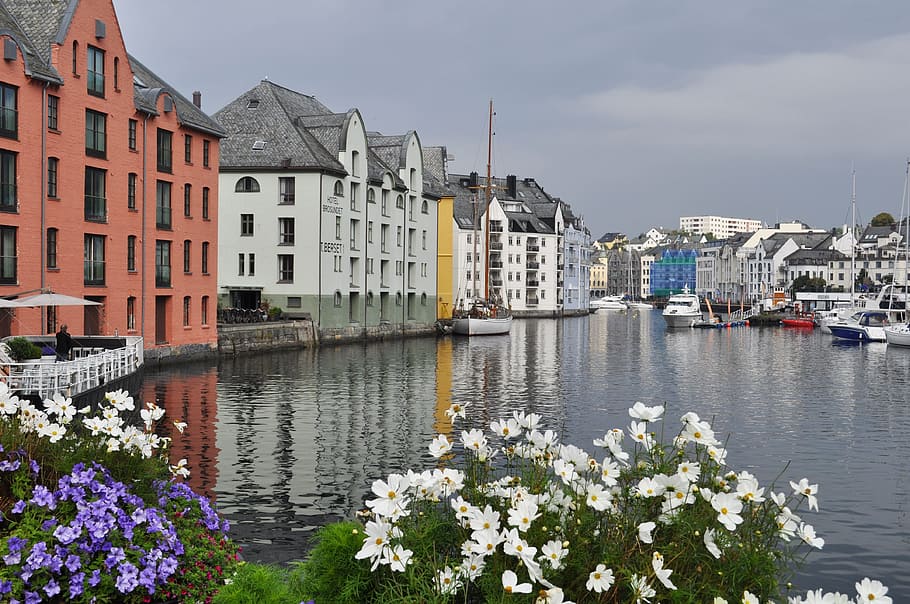 buildings near body of water with boats, bergen, norway, harbor