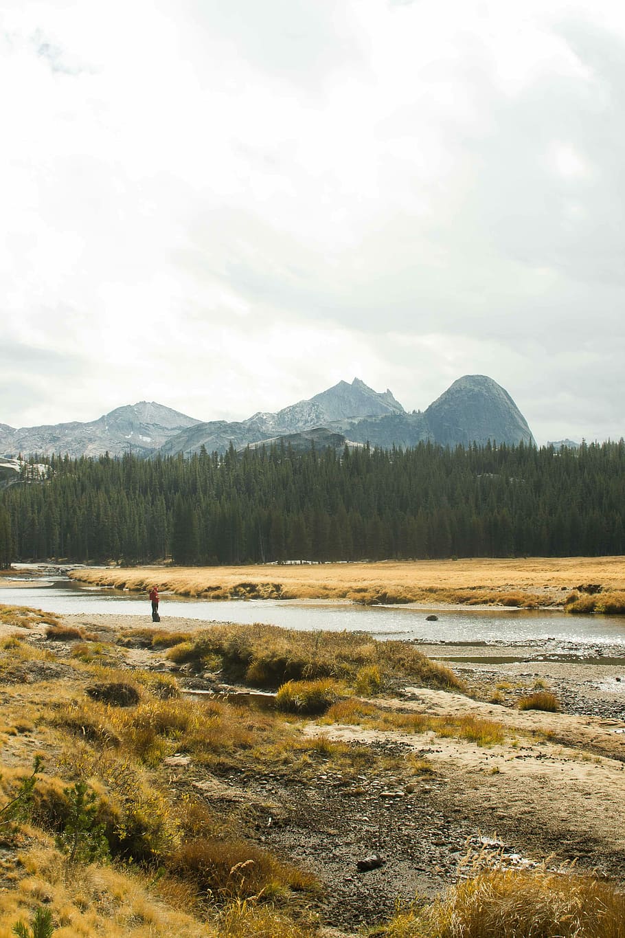 Yosemite, Cathedral, River, nature, landscape, mountain, scenics HD wallpaper