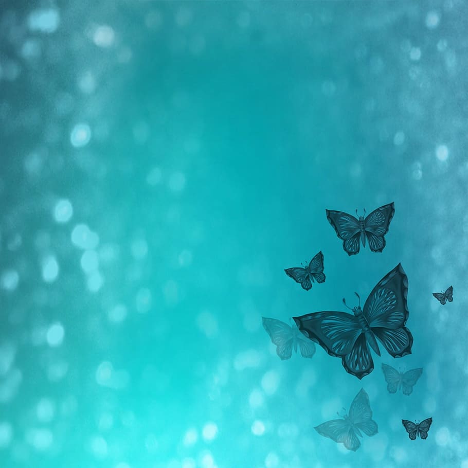 background, map, butterfly, turquoise, christmas, blue, no people HD wallpaper