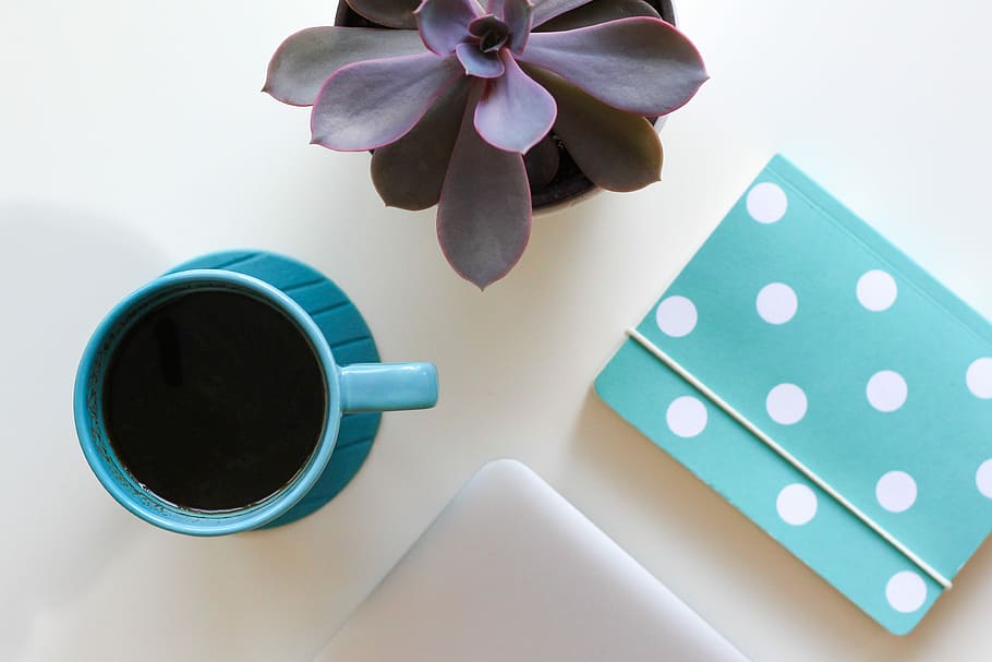 teal ceramic teacup filled with black liquid beside potted maroon plant on white table, coffee in teal ceramic cup with polka-dot book on table