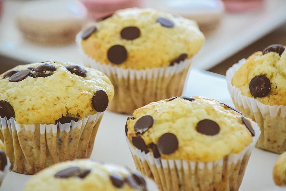 cupcake with chocolate chip, bakery, baking, breakfast, butter HD wallpaper