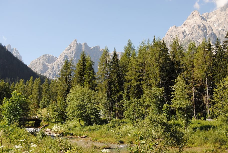 landscape, dolomites, mountains, trees, dolomiti di sesto, hiking HD wallpaper