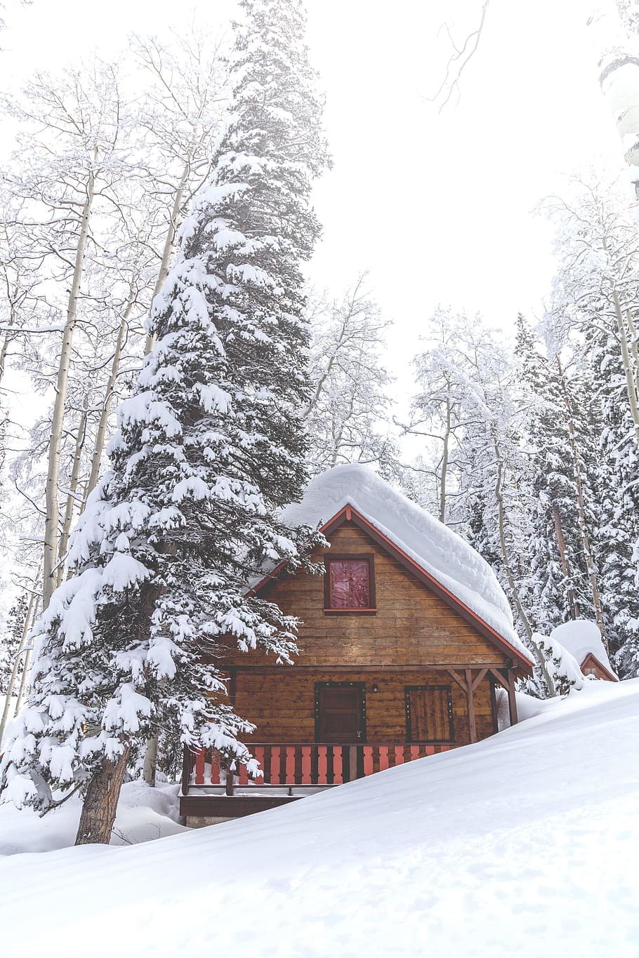 house, winter, snow, ice, iceberg, trees, plants, cold, cold temperature HD wallpaper