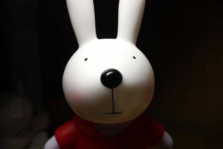 Rabbit, Night View, Photo, sport, close-up, competition, challenge HD wallpaper