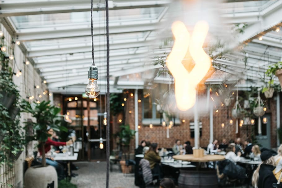 incandescent light bulb photo, people dining inside glass roof building, HD wallpaper