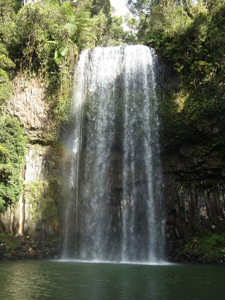 waterfall, milla milla falls, australia, flow, environment, HD wallpaper