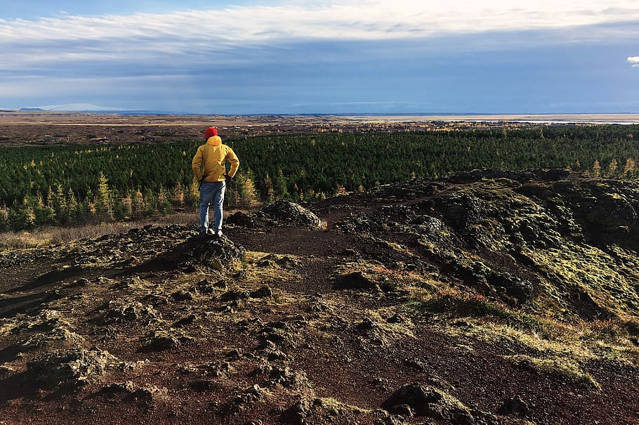men's yellow hoodie, person standing on rock cliff, forest, portrait HD wallpaper