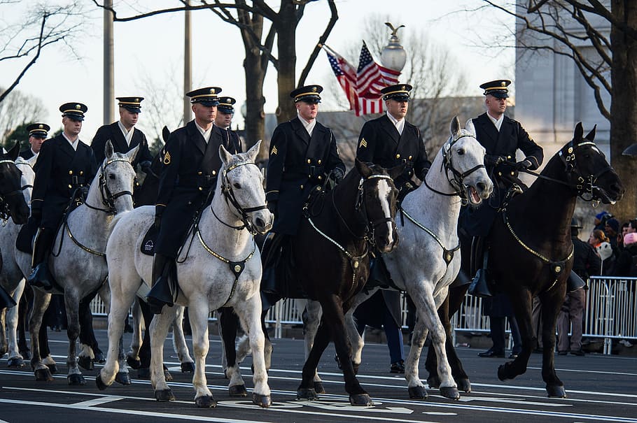 parade, military, soldiers, horseback, army, usa, mounted, horses