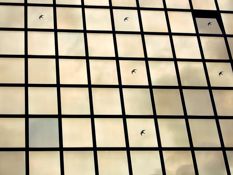 window, glass, modern, architecture, disc, glass facade, mirroring HD wallpaper