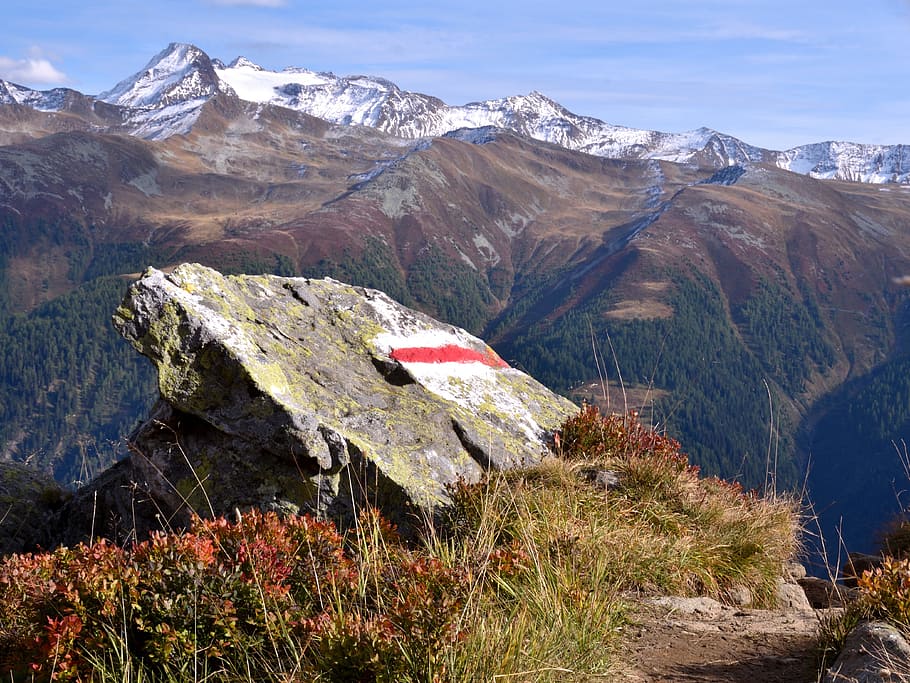 trail, mountains, reported, landscape, alpine, outlook, forest HD wallpaper