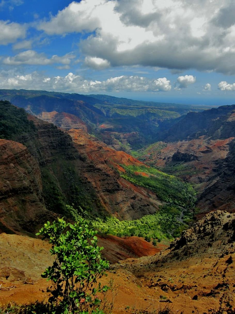 waimea canyon, hawaii, kauai, landscape, nature, napali coast, HD wallpaper