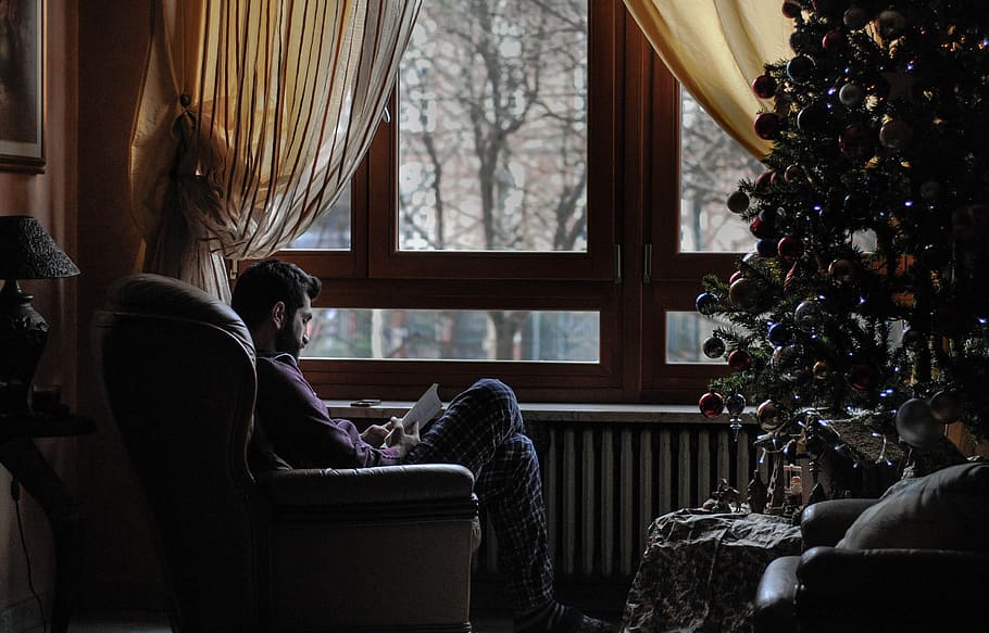 man sitting on sofa chair near Christmas tree, man sitting on chair while reading HD wallpaper